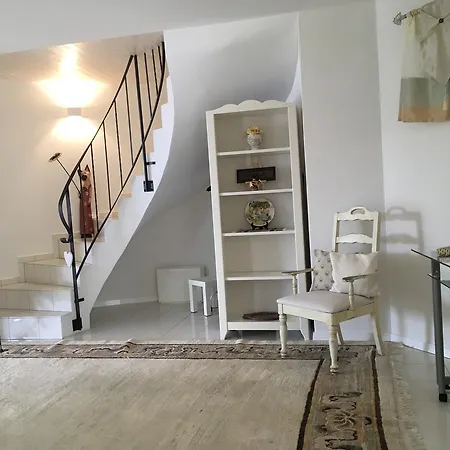 New Sunny Apartment