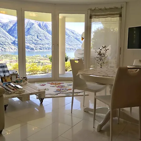 New Sunny Apartment